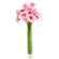 pink gerberas in a vase. Vitebsk
